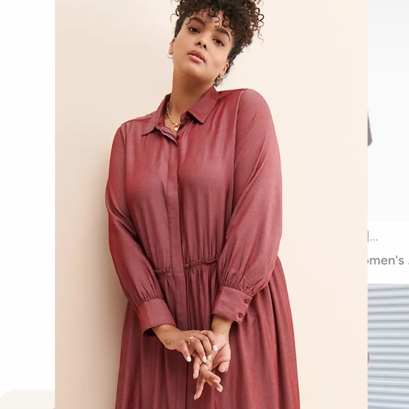 Standards & Practices Chloe Button Down Dress - Picture 5 of 6